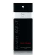 Perfume-Silver-Scent-Intense-Jacques-Bogart-Masculino-Eau-de-Toilette-100ml-Unico-9951572-Unico_1