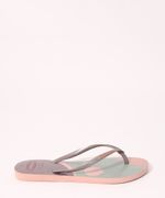 9991938-Rosa_4