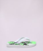 9964329-Verde_5