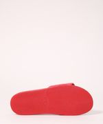 9984830-Vermelho_7
