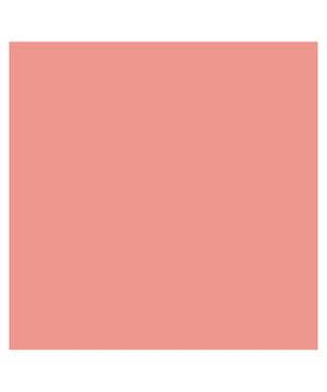 Blush em Bastão Pink Cheeks – Blush All In One Soft Peach