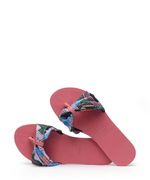 9977350-Rosa_3