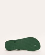chinelo-havaianas-palmeiras-verde-1036295-Verde_5