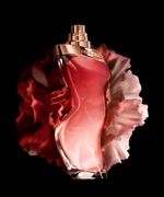 Perfume-Shakira-Dance-Midnight-Muse-Feminino-Eau-de-Toilette-50ml-Unico-1039906-Unico_6