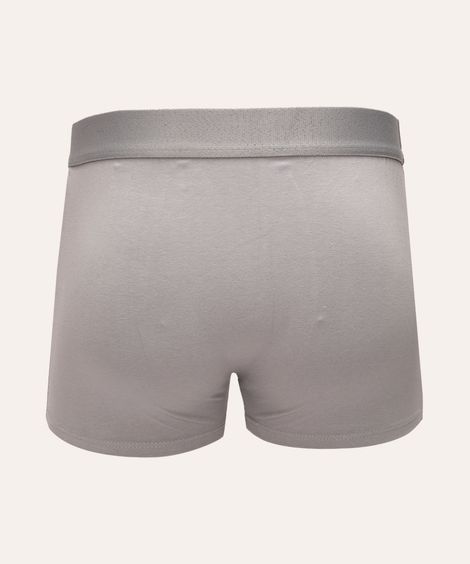 cueca boxer mash cinza claro