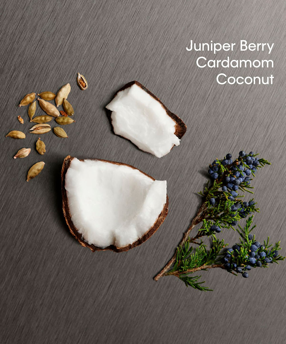 ck eternity man aromatic essence eau de parfum calvin klein 200ml