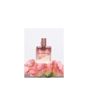 Kit Braé Blooming Rose - Perfume para Cabelo 50ml (2 unidades)