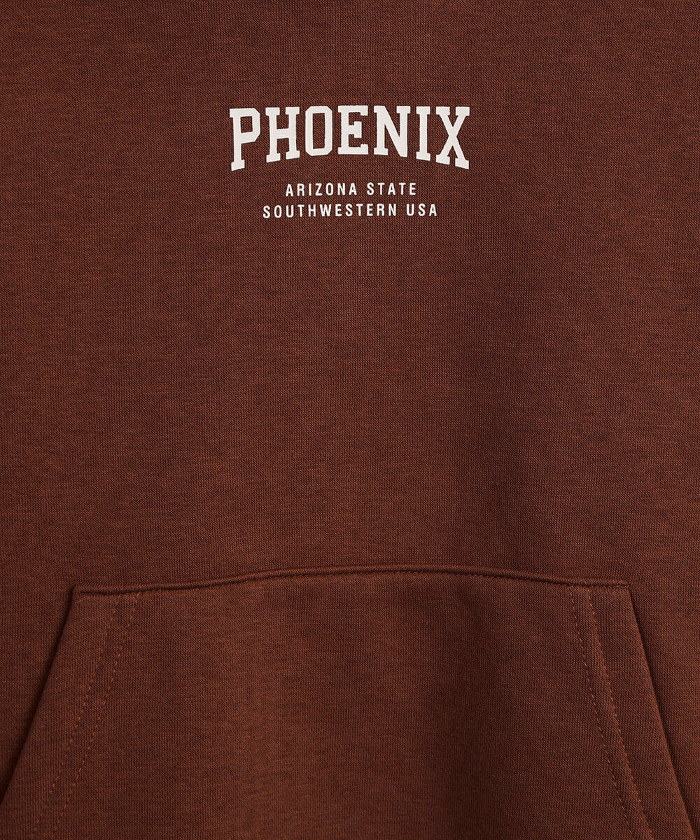 blusão oversized de moletom infantil com capuz phoenix marrom
