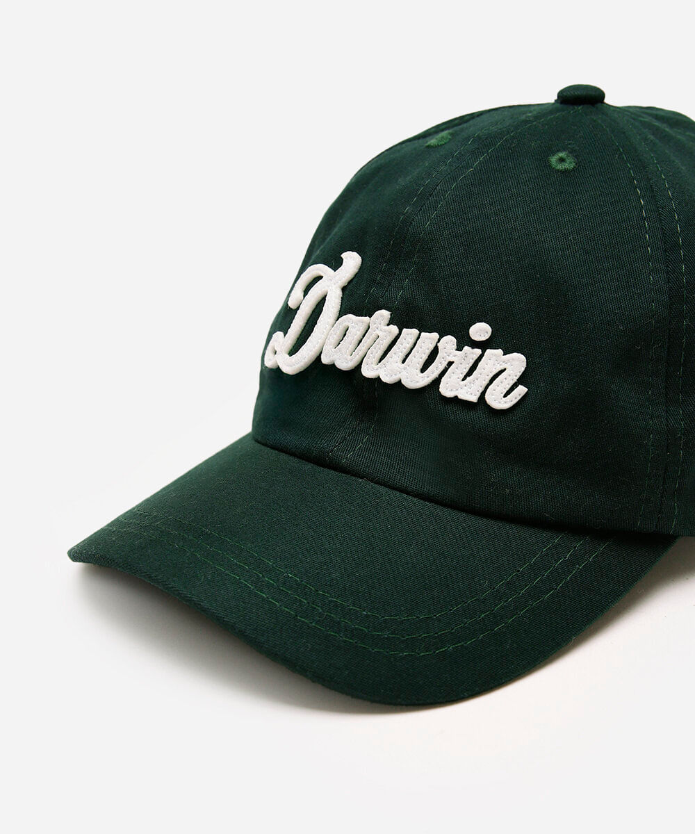 boné de sarja aba curva darwin verde