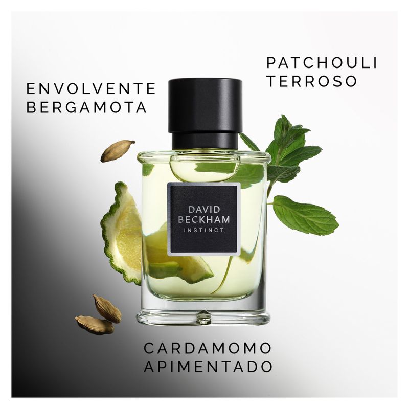 Imagem 4 do produto