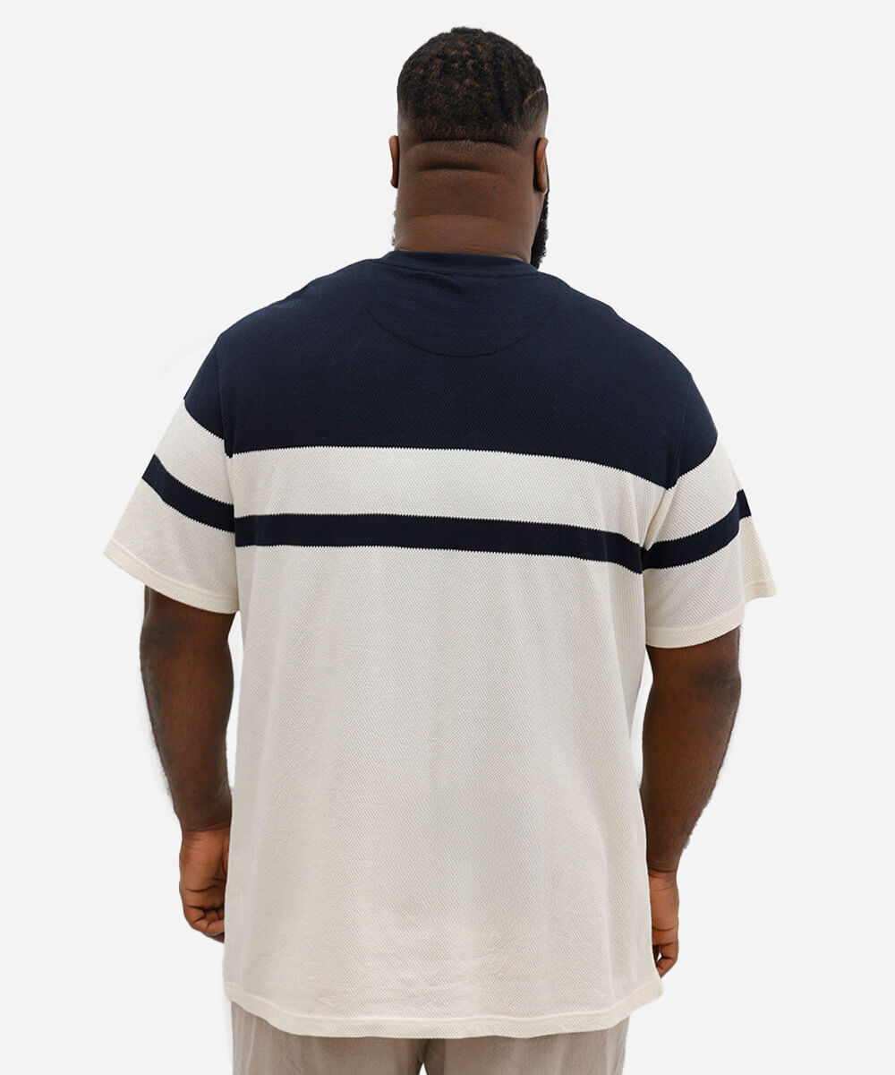 camiseta comfort de algodão texturizada plus size azul