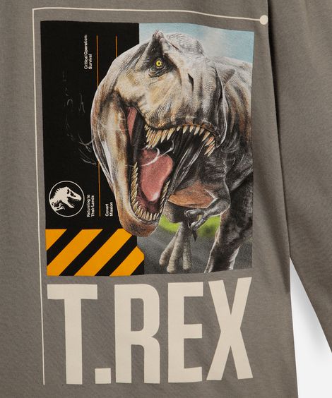 camiseta infantil manga longa jurassic t-rex cinza