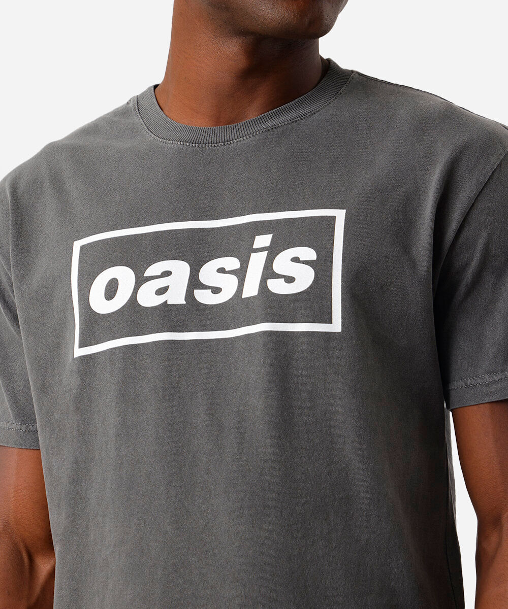 camiseta masculina de algodão oasis cinza