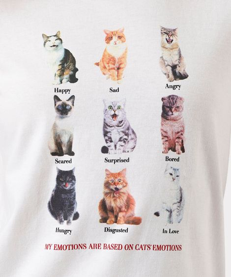 camiseta feminina de algodão gatinhos off white