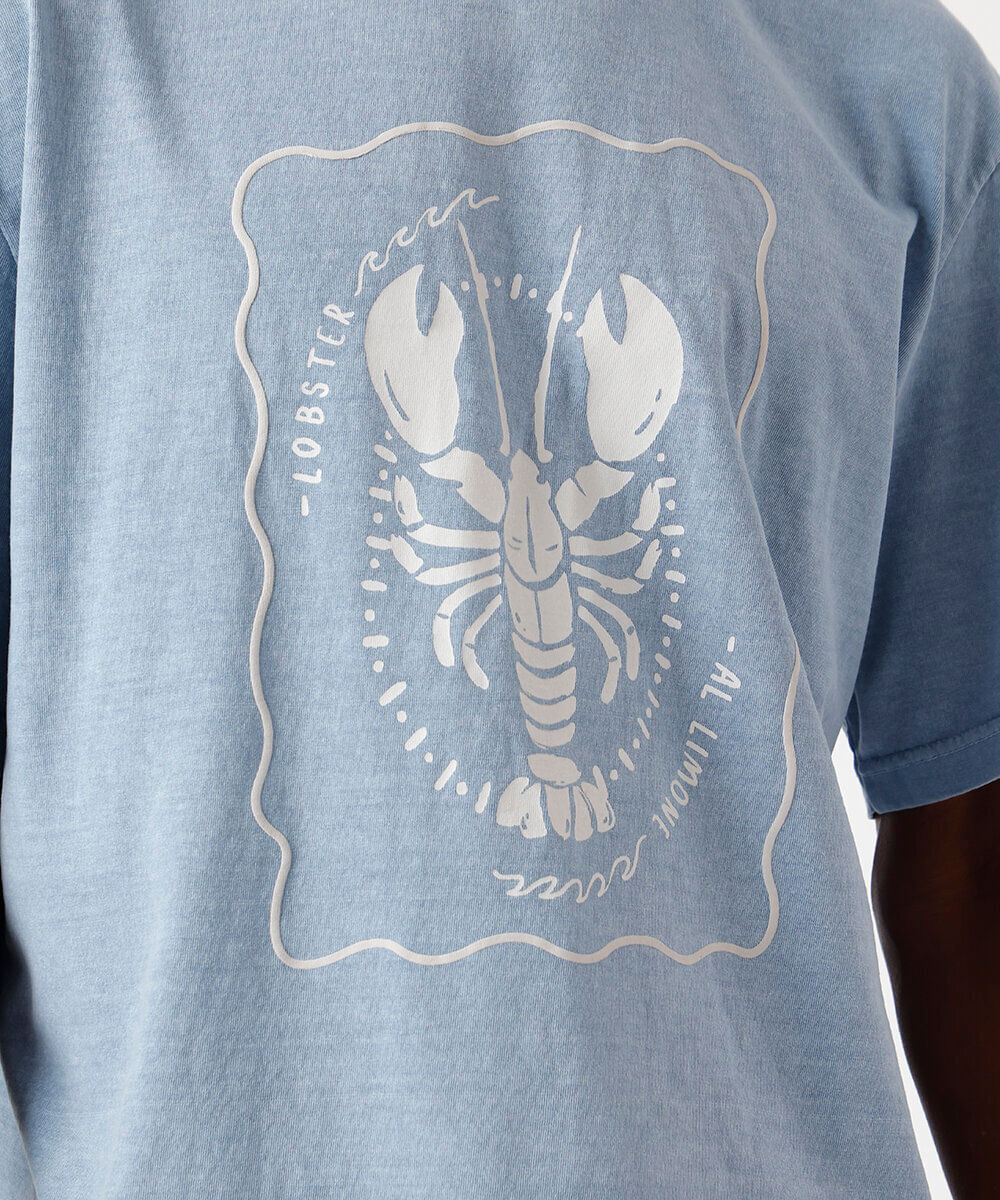 camiseta masculina de algodão estampada estonada azul