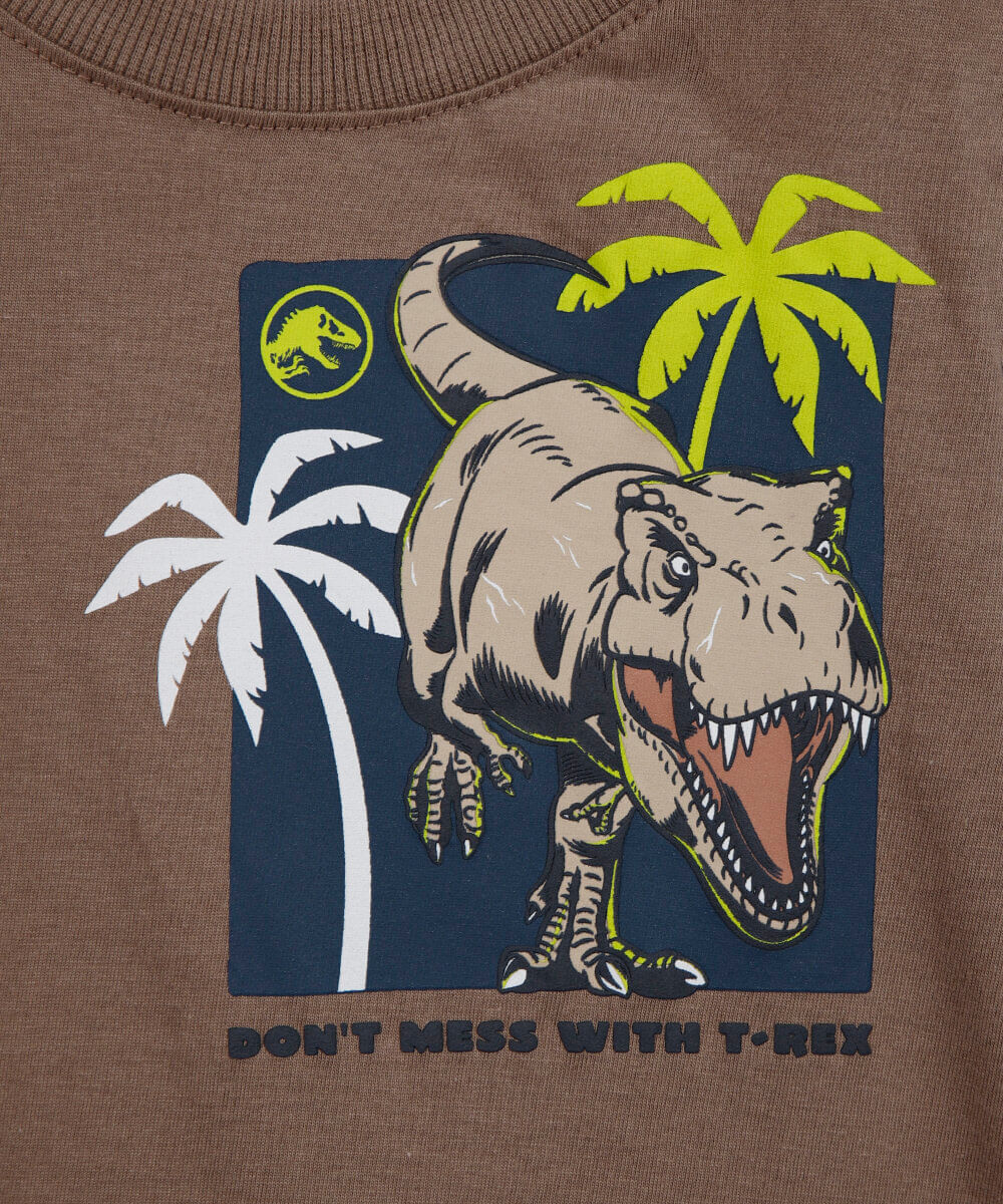 camiseta infantil de algodão jurassic marrom