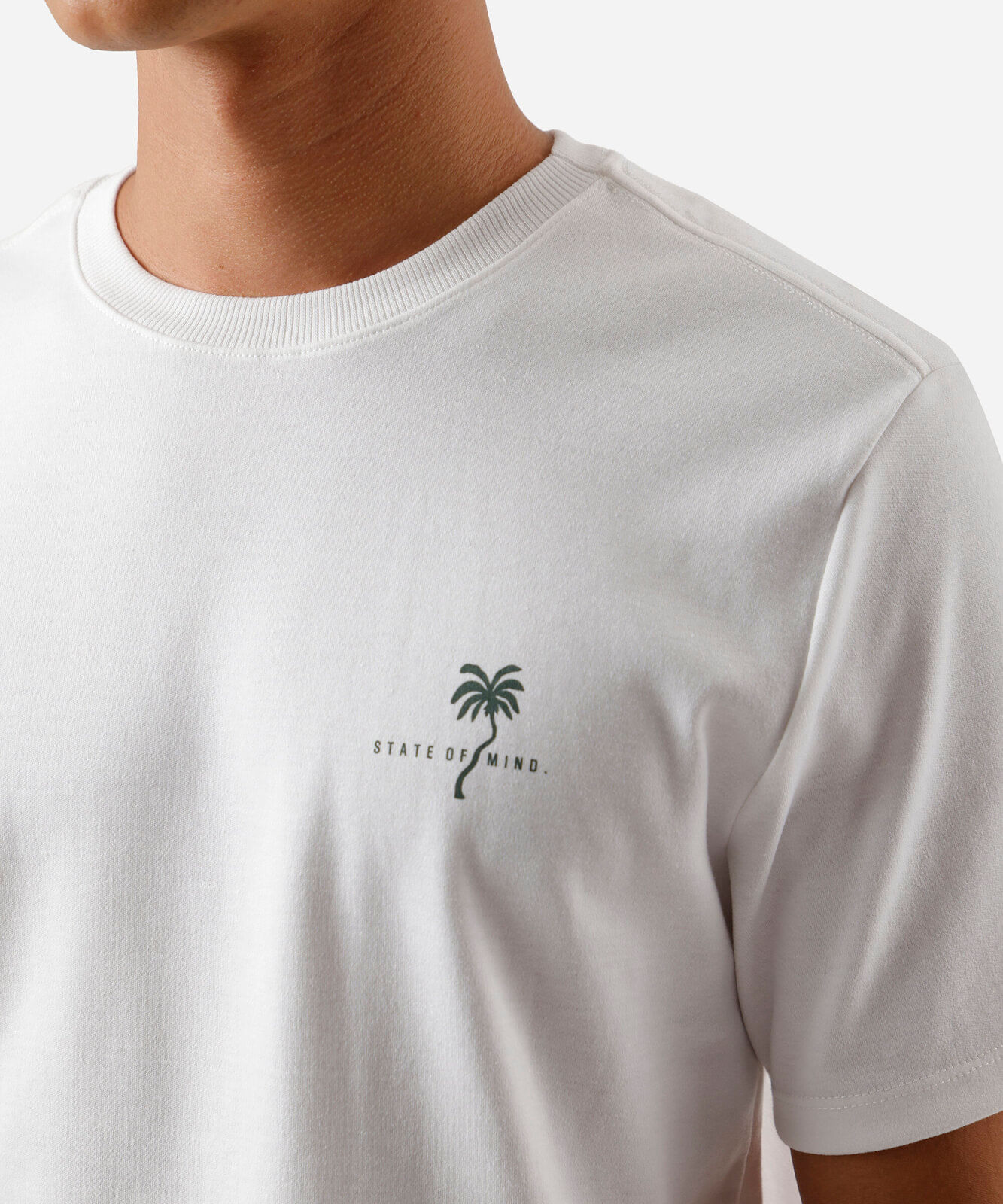 camiseta masculina estampada state of mind off white