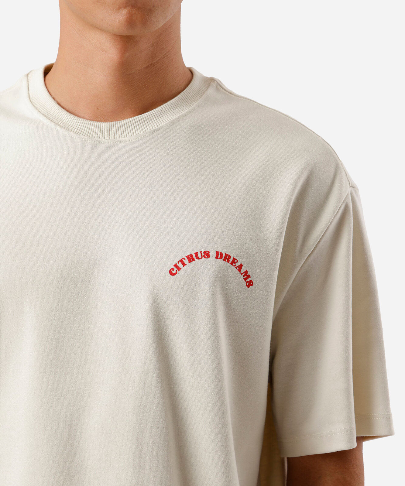camiseta masculina de algodão citrus dreams bege