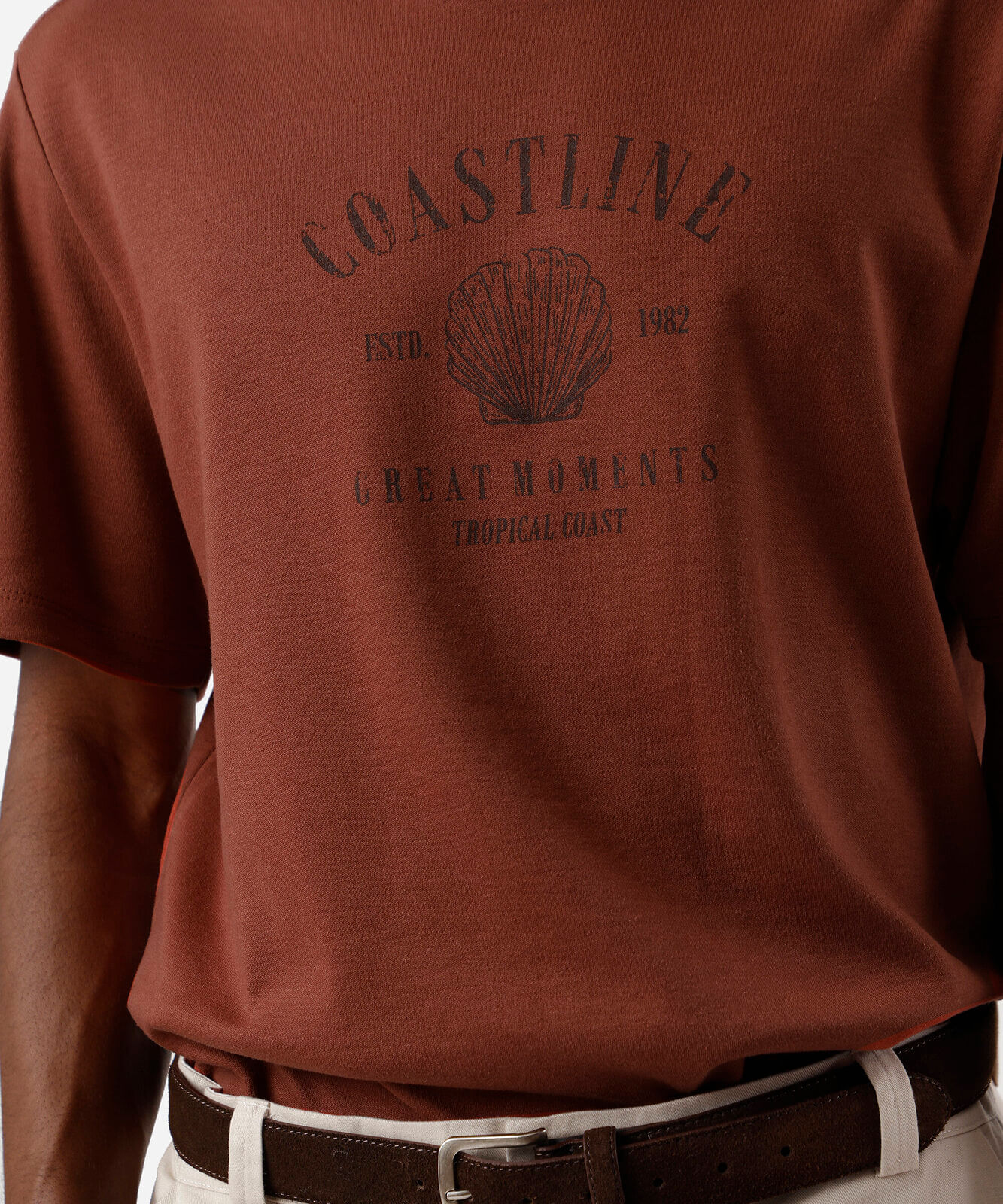 camiseta masculina estampada coastline marrom