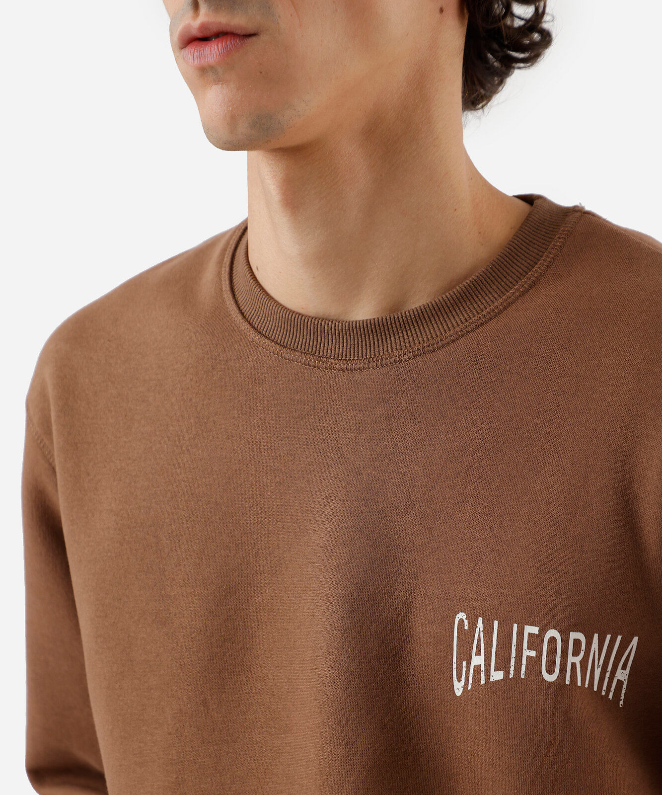 blusão masculino de moletom gola redonda estampado marrom