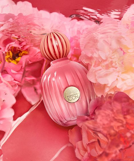 kit banderas queen of seduction lively muse eau de toilette 80ml e desodorante 24h spray 150ml