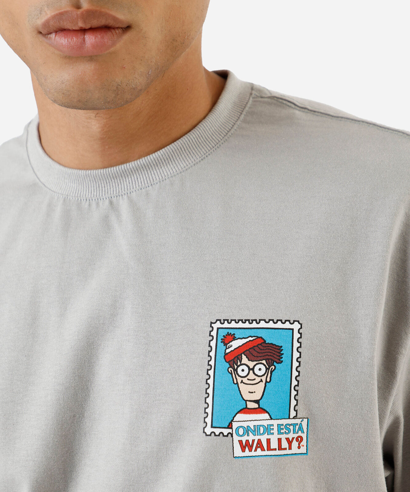 camiseta masculina de algodão wally cinza