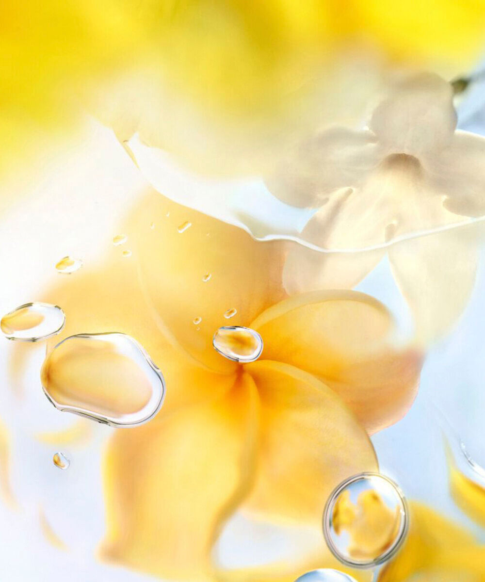 perfume feminino lancôme ô zenith edt 100ml