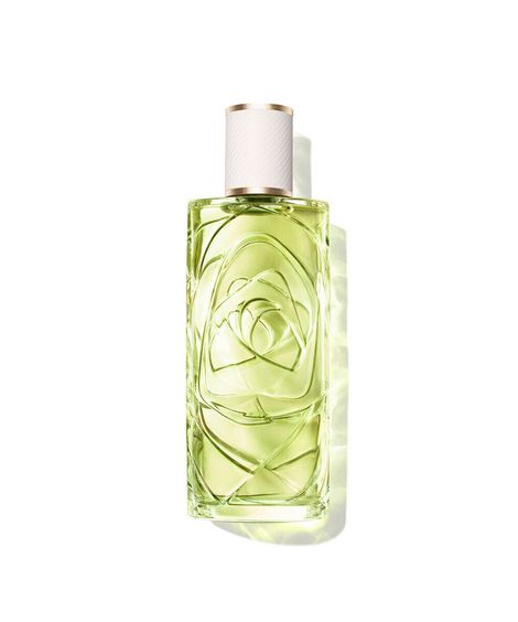 perfume feminino lancôme ôff now edt 100ml