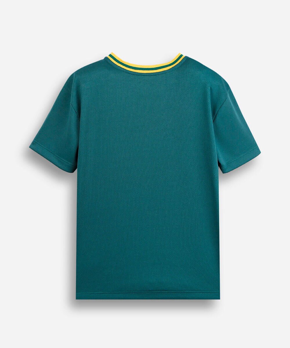 camiseta infantil manga curta brasil verde