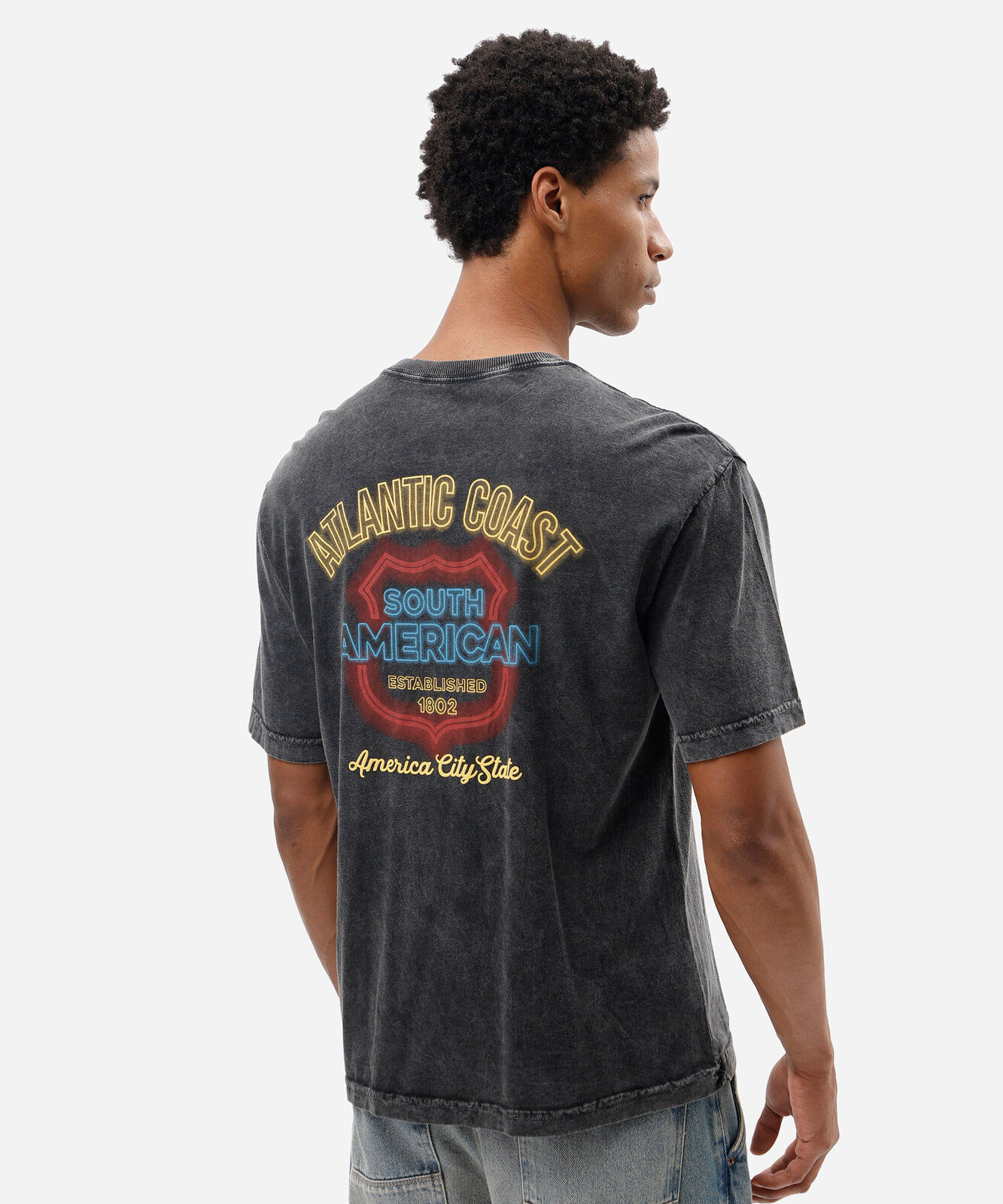 camiseta masculina de algodão manga curta estampada estonada cinza