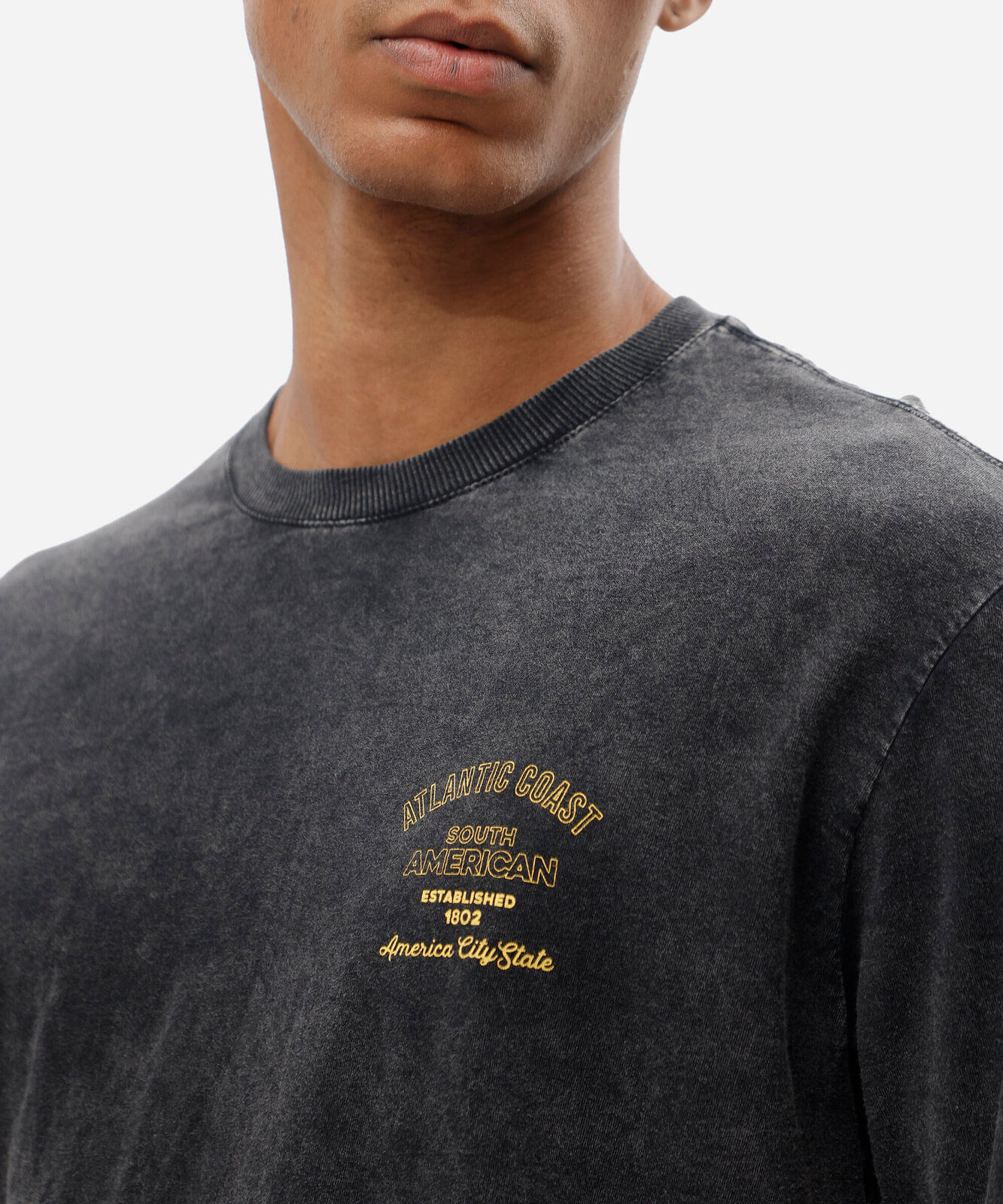 camiseta masculina de algodão manga curta estampada estonada cinza