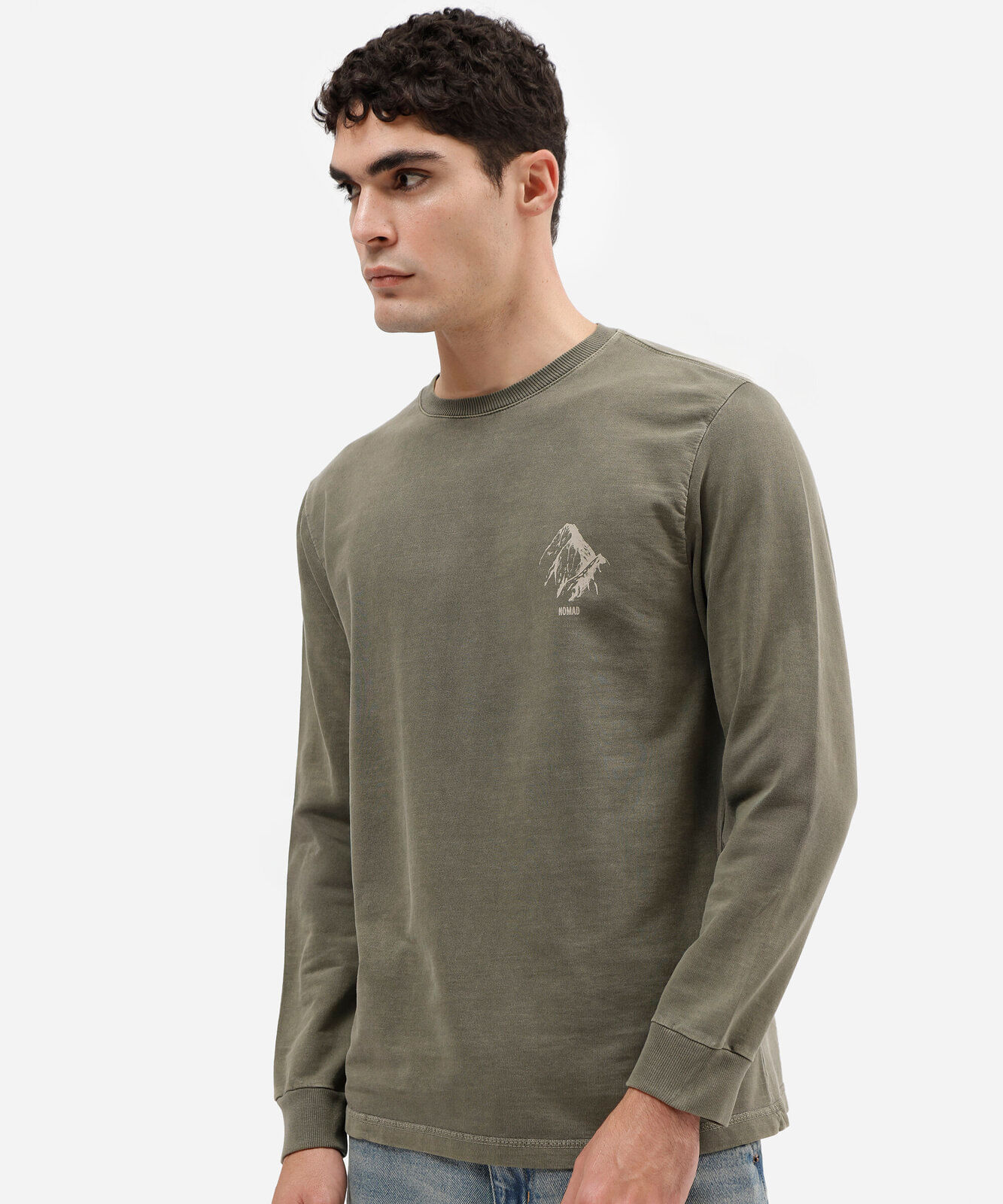 camiseta masculina de manga longa em moletinho com estampa nas costas verde